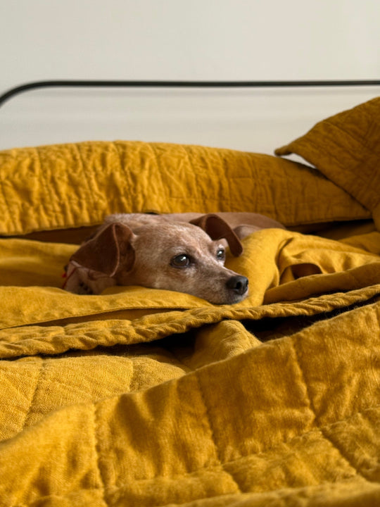 Meet beeswax — the warm neutral you can feel